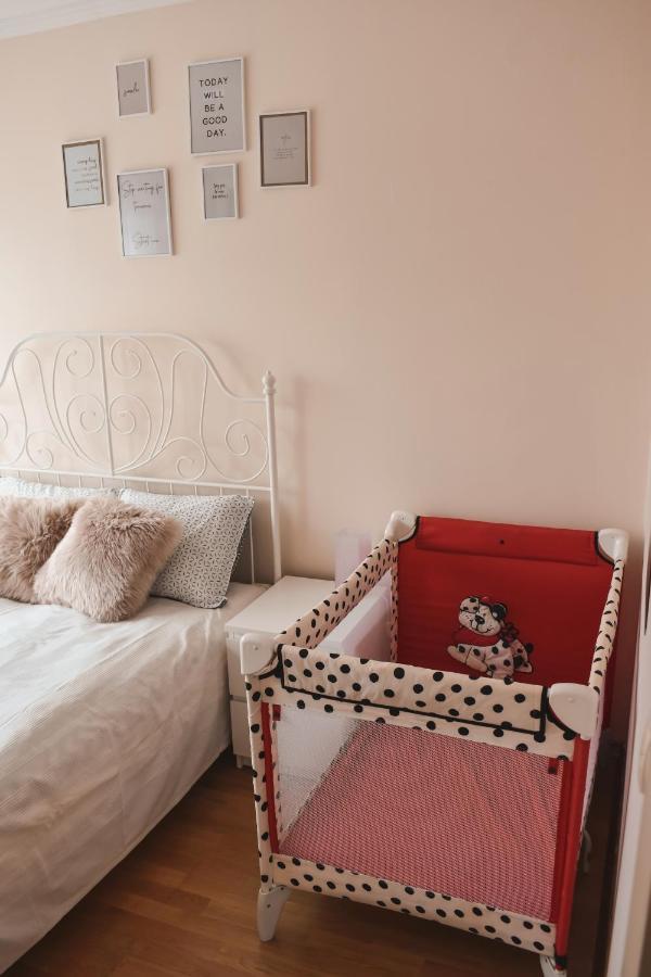 Apartment Orchid 021 نوفي ساد المظهر الخارجي الصورة
