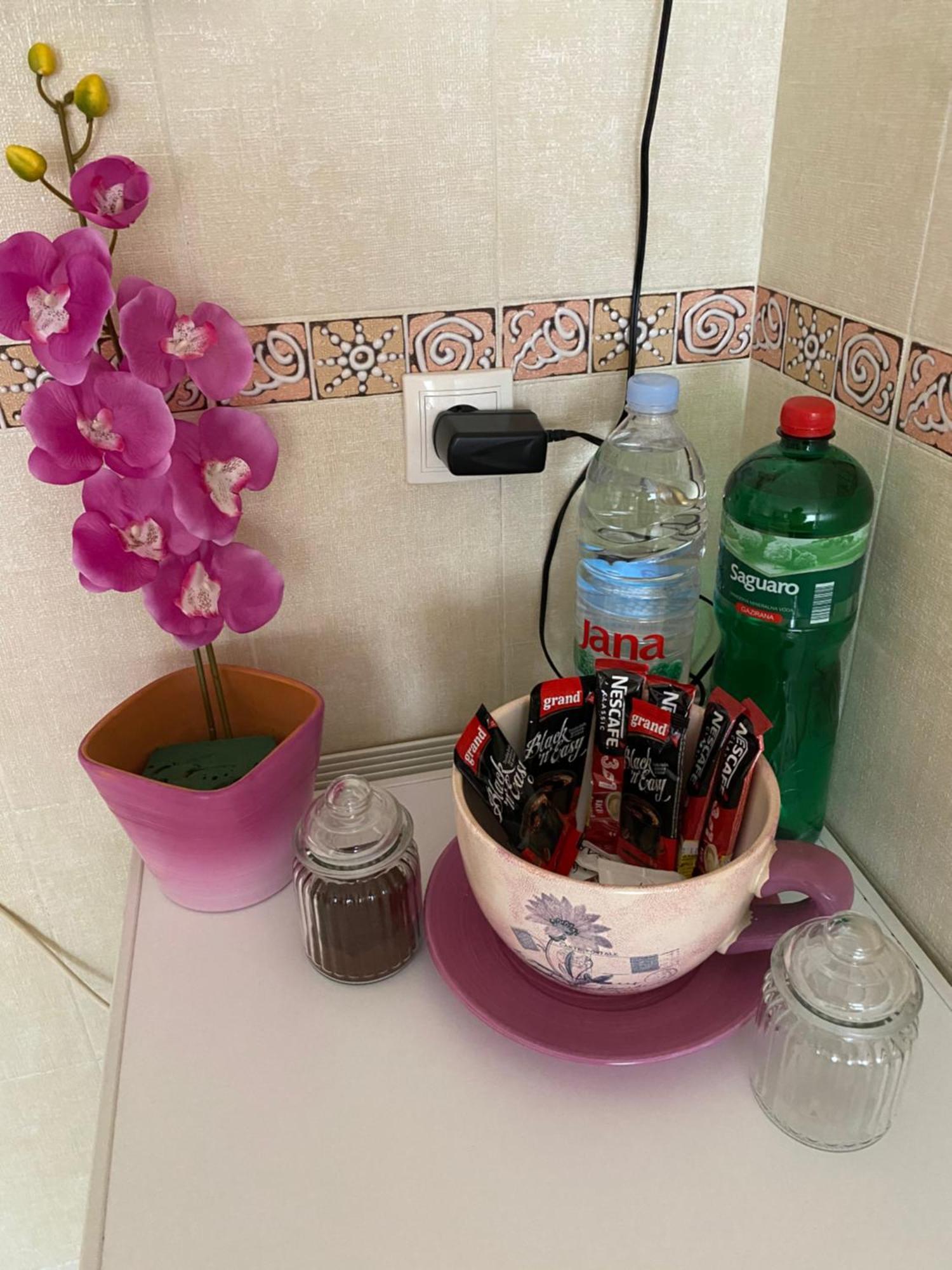 Apartment Orchid 021 نوفي ساد المظهر الخارجي الصورة