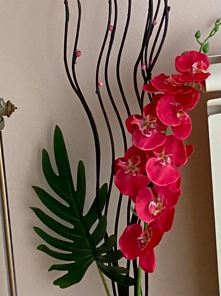 Apartment Orchid 021 نوفي ساد المظهر الخارجي الصورة