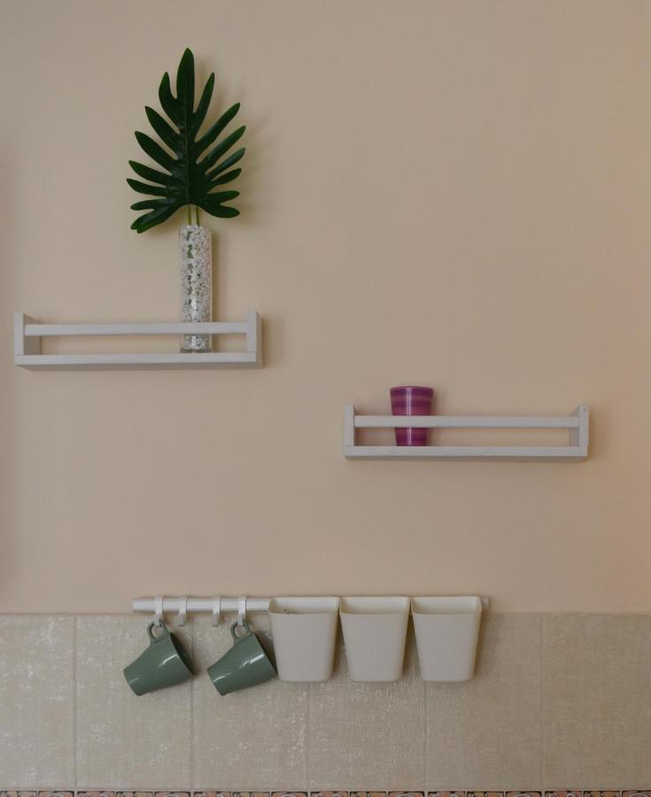 Apartment Orchid 021 نوفي ساد المظهر الخارجي الصورة