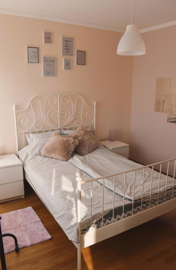 Apartment Orchid 021 نوفي ساد المظهر الخارجي الصورة