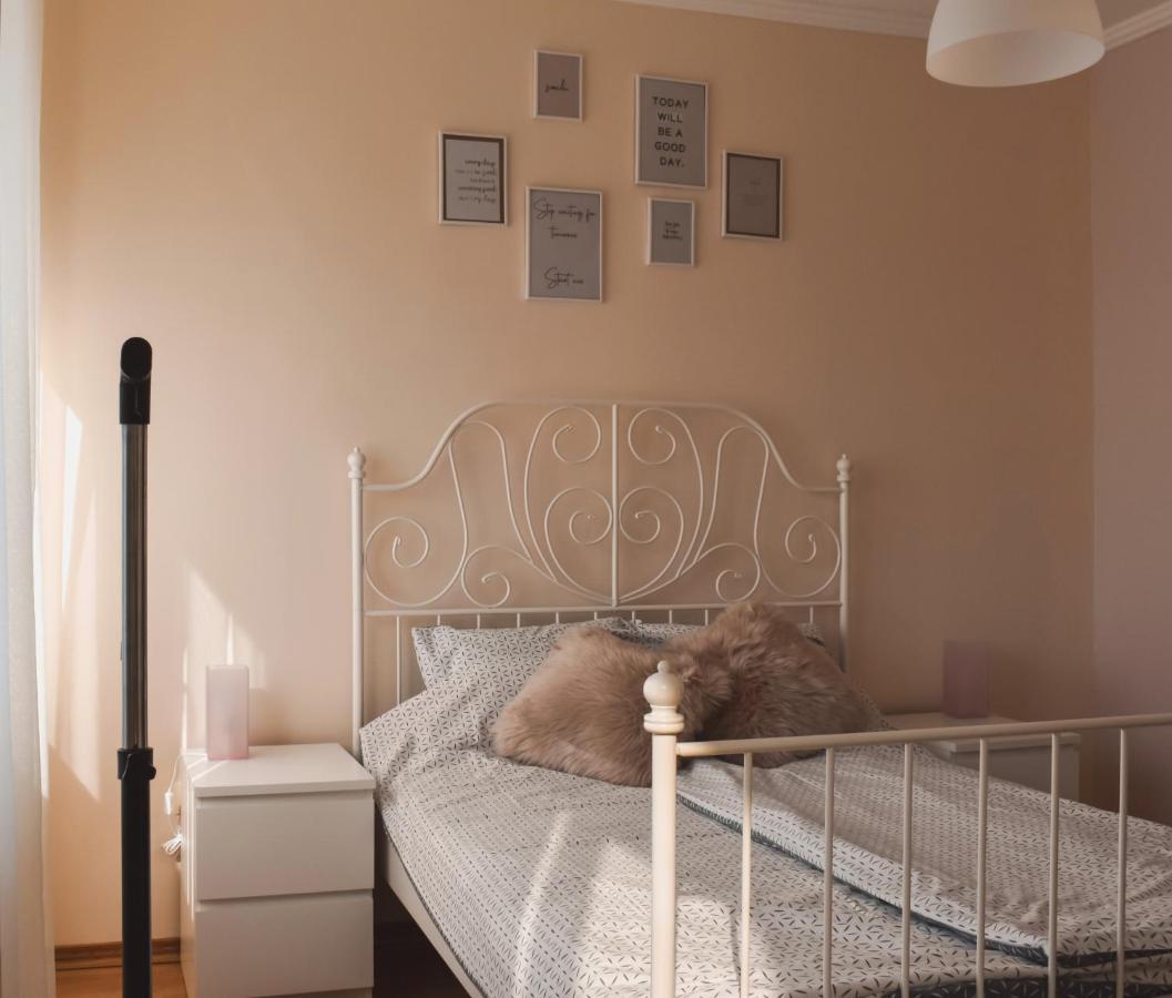 Apartment Orchid 021 نوفي ساد المظهر الخارجي الصورة