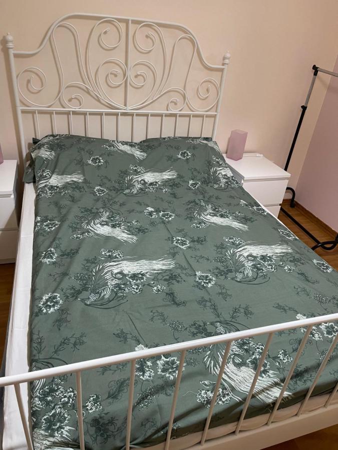 Apartment Orchid 021 نوفي ساد المظهر الخارجي الصورة