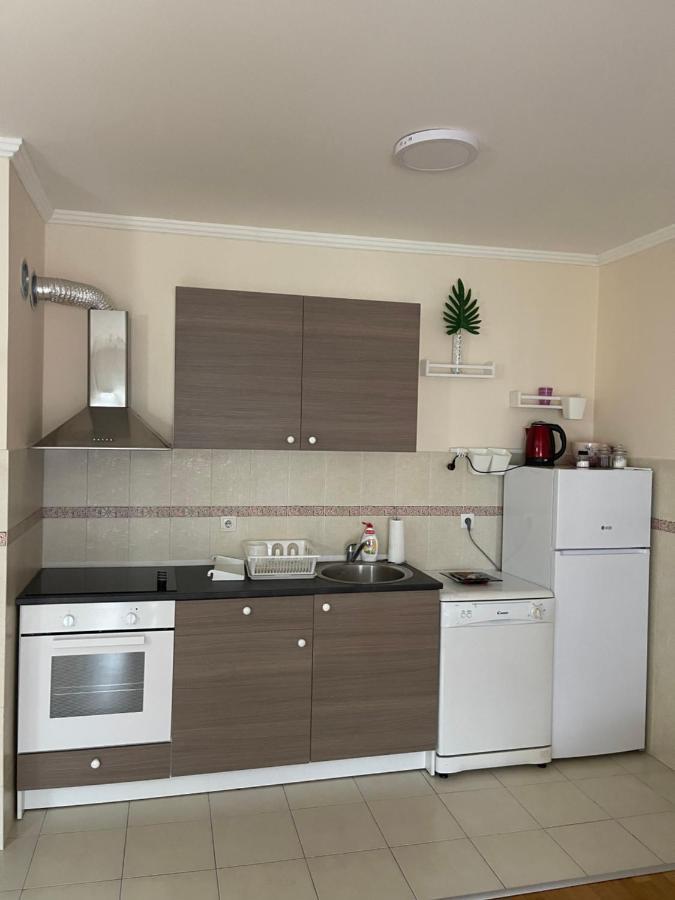 Apartment Orchid 021 نوفي ساد المظهر الخارجي الصورة