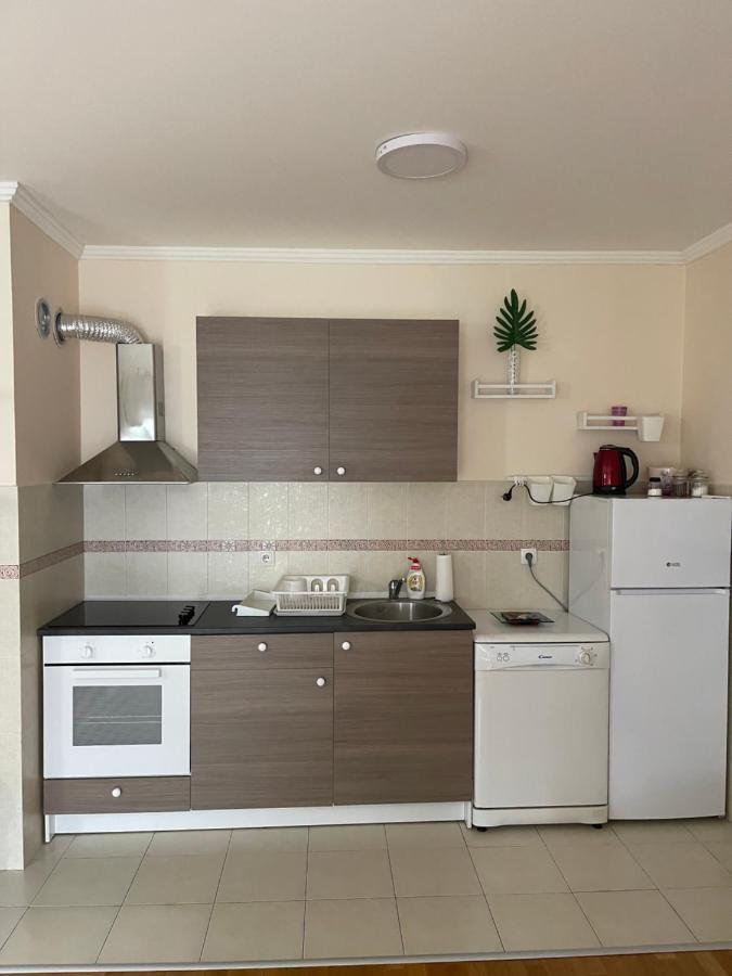 Apartment Orchid 021 نوفي ساد المظهر الخارجي الصورة