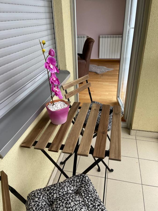 Apartment Orchid 021 نوفي ساد المظهر الخارجي الصورة