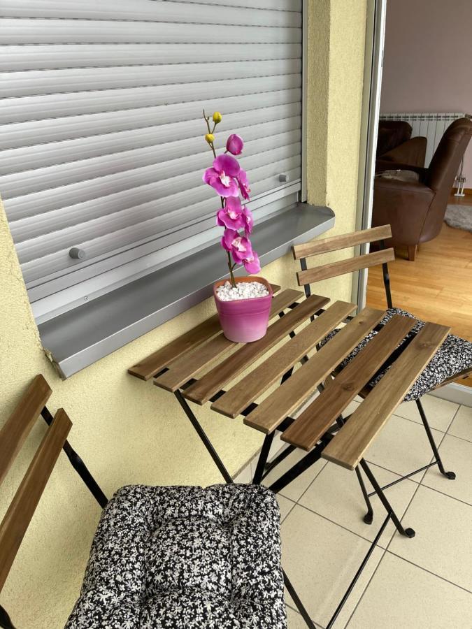Apartment Orchid 021 نوفي ساد المظهر الخارجي الصورة