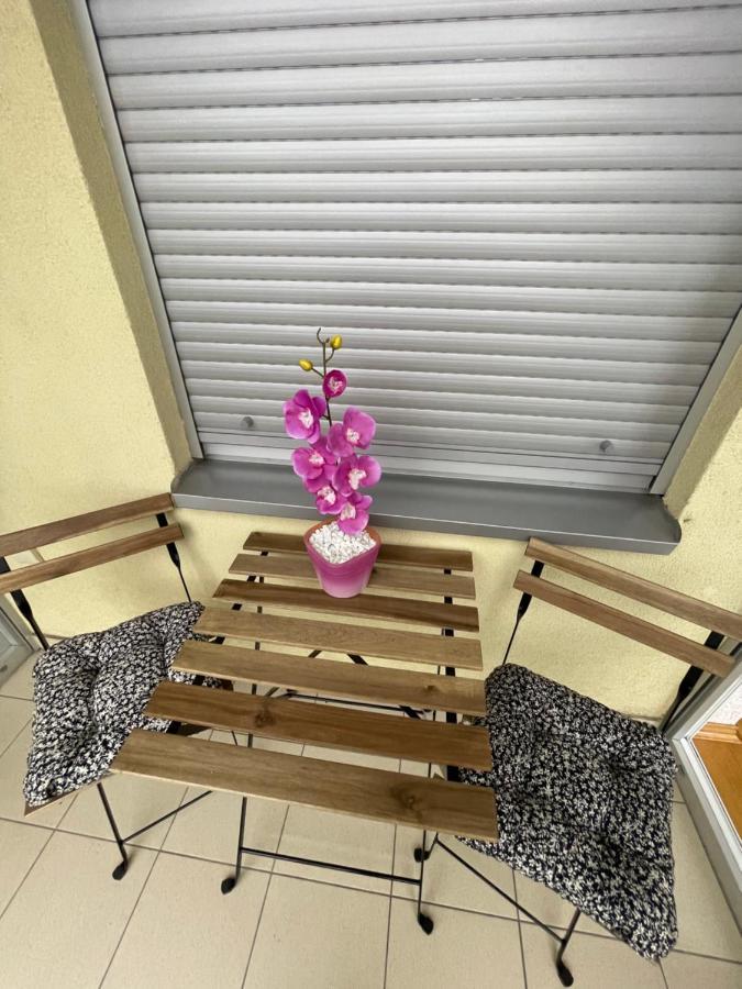 Apartment Orchid 021 نوفي ساد المظهر الخارجي الصورة